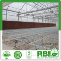 Vegetable commercial film low cost greenhouse multi span high quality for agriculture